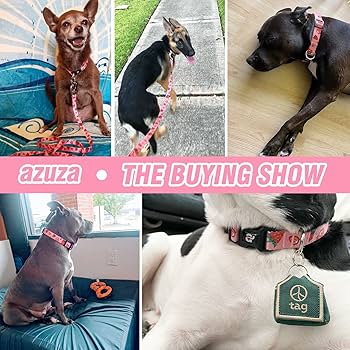 Amazon.com : azuza Dog Collar and Leash Set, Cute Strawberry